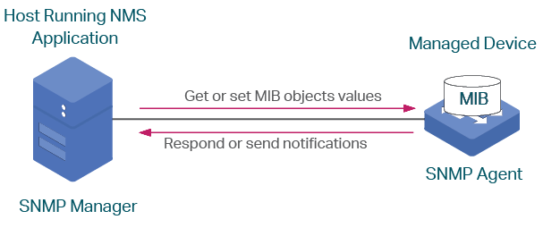 SNMP Device Details Interface, Internet Protection, Endpoint